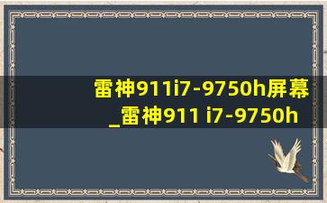 雷神911i7-9750h屏幕_雷神911 i7-9750h支持m.2接口吗